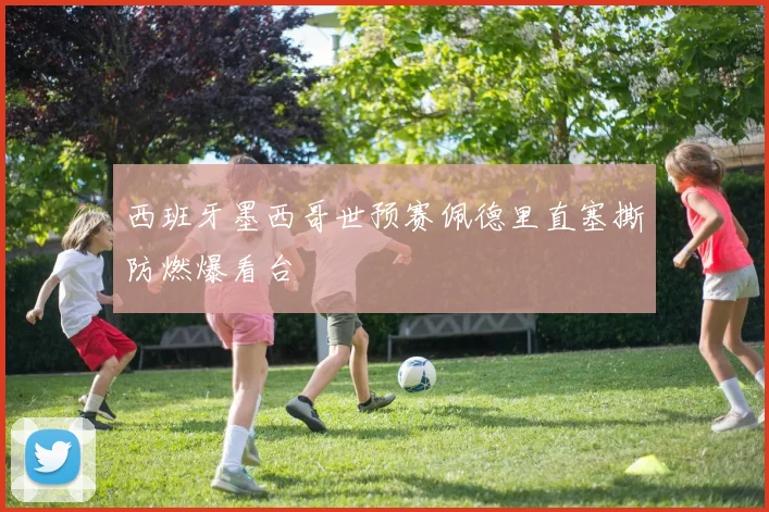 西班牙墨西哥世预赛佩德里直塞撕防燃爆看台