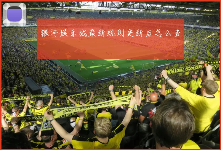 银河娱乐城最新规则更新后怎么查