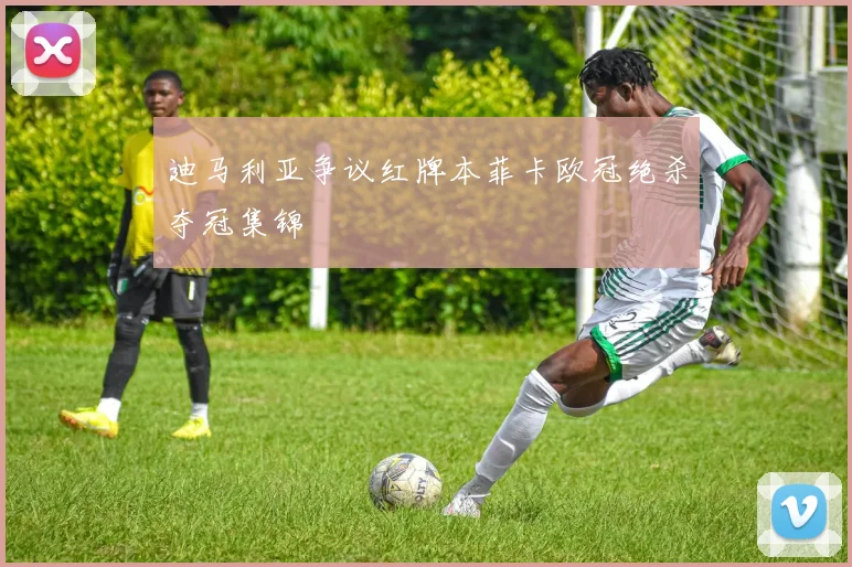 迪马利亚争议红牌本菲卡欧冠绝杀夺冠集锦