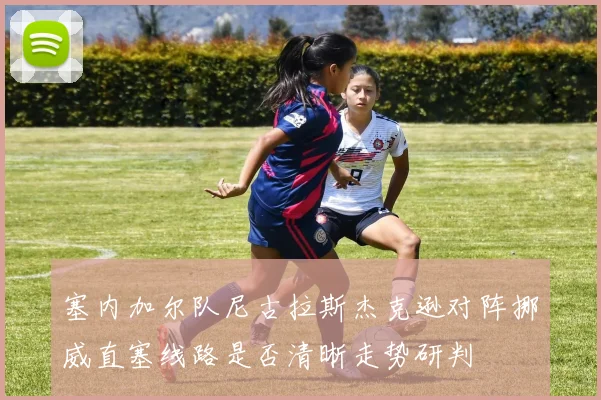 塞内加尔队尼古拉斯杰克逊对阵挪威直塞线路是否清晰走势研判